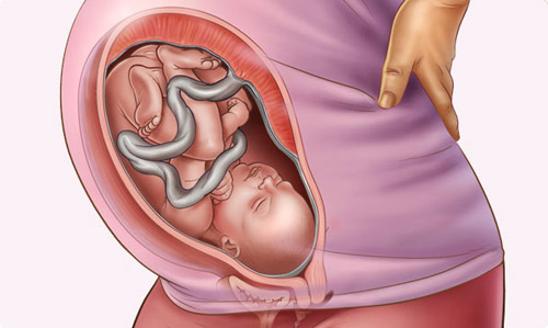 Những thay đổi của thai nhi tuần 35