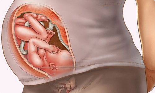Những thay đổi của thai nhi tuần 37