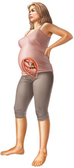 Thông tin về thai nhi tuần 29