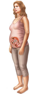 Thông tin về thai nhi tuần 32