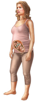 Thông tin về thai nhi tuần 33