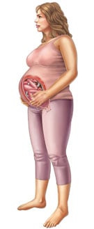 Thông tin về thai nhi tuần 36