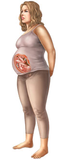 Thông tin về thai nhi tuần 37