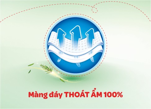 màng đáy thoát ẩm