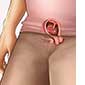 Những thay đổi của thai nhi tuần thứ 5