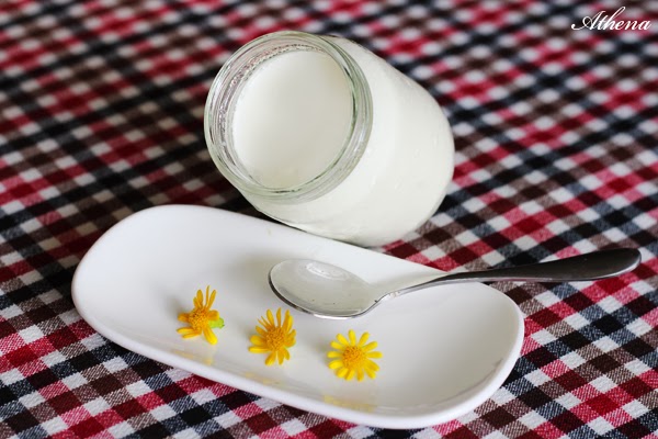 Món ăn cho bé: Sữa chua từ men probiotic