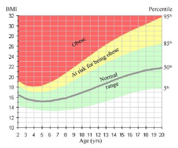 Biểu đồ chỉ số BMI thể hiện dưới dạng %