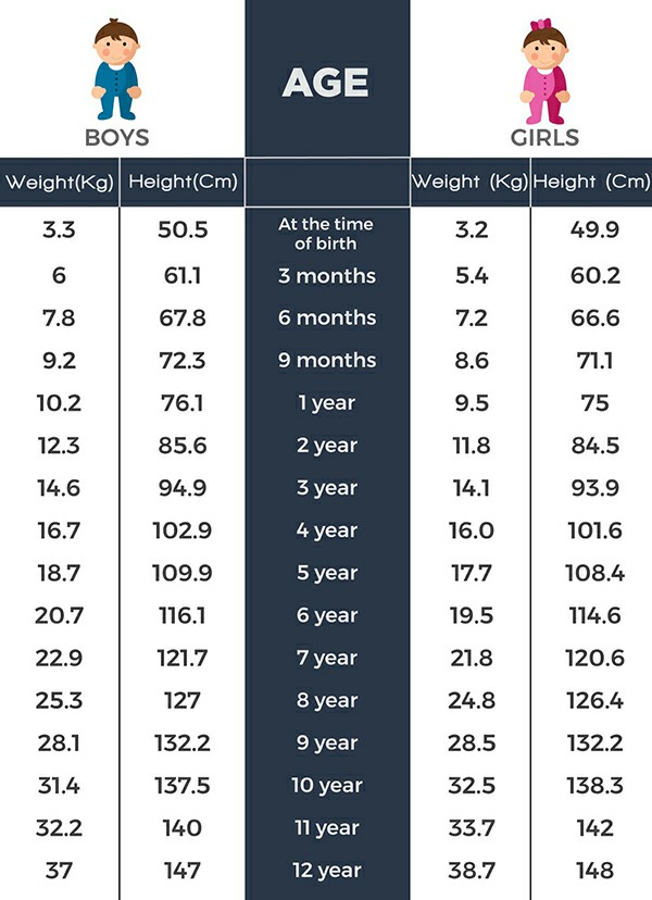 Bảng đo chiều cao cân nặng của trẻ