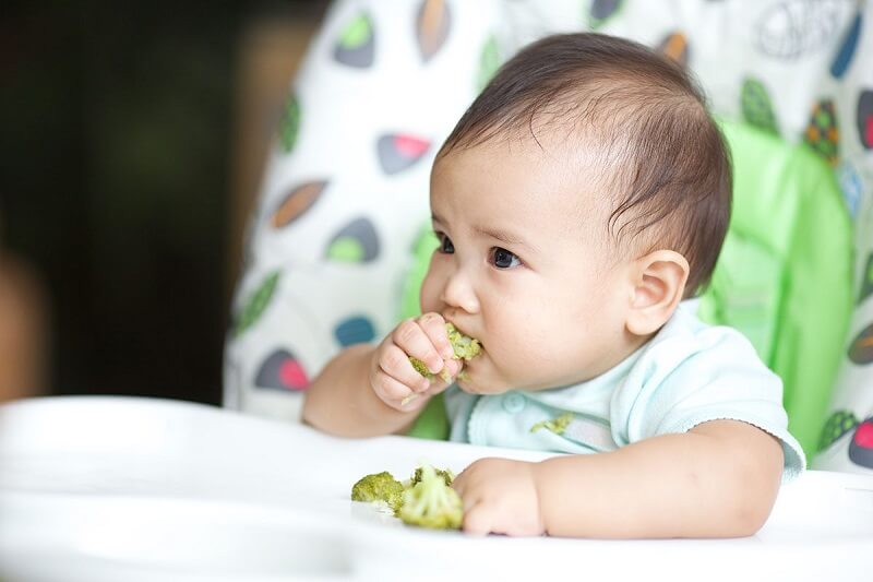 Khi nào có thể áp dụng phương pháp ăn dặm bé tự chỉ huy