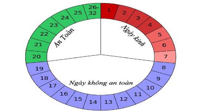 Khả năng thụ thai tăng cao từ ngày thứ 8 đến ngày thứ 19 của chu kỳ kinh nguyệt.