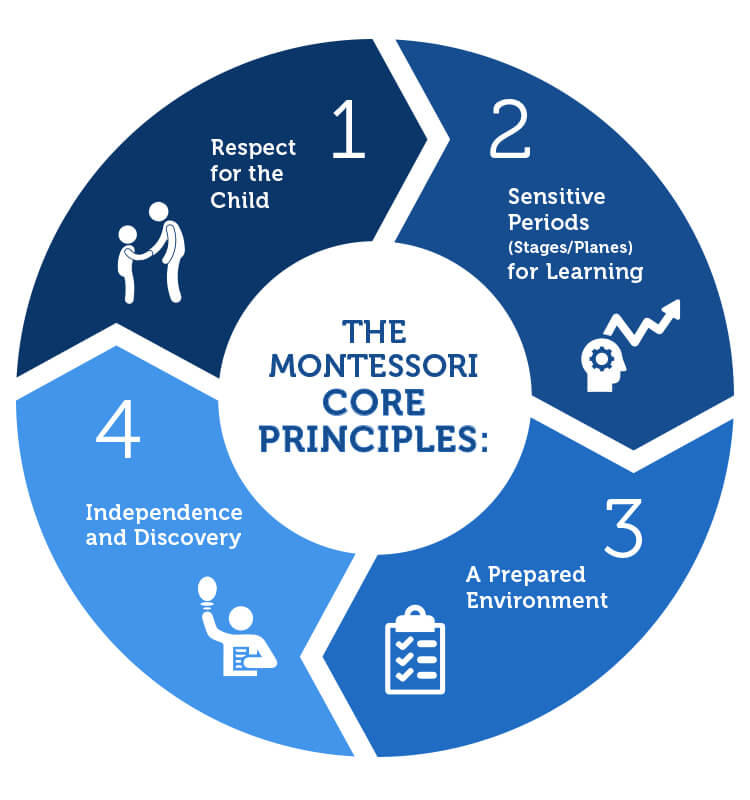 Nguyên tắc của Montessori tôn trọng sự phát triển riêng của từng bé