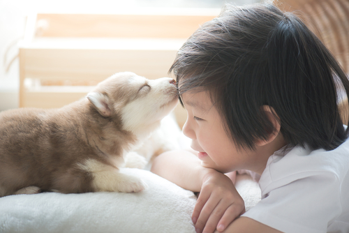 Nuôi thú cưng là cách đơn giản để dạy bé các con vật