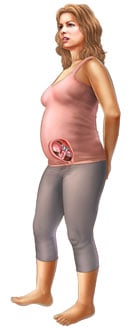 Thông tin về thai nhi tuần 21