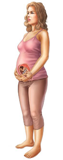 Thông tin về thai nhi tuần 27