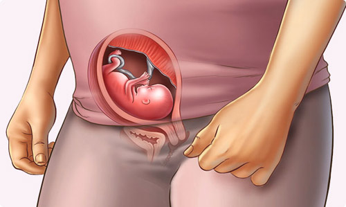 Những thay đổi của em bé tuần 15