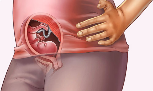 Những thay đổi của em bé tuần 18