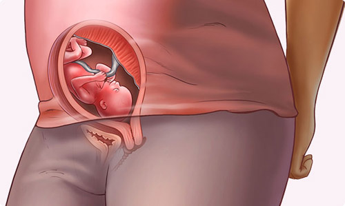 Những thay đổi của em bé tuần 19