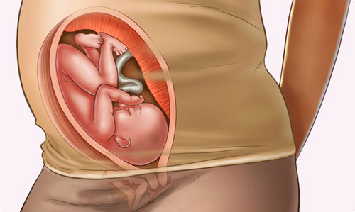 Thai nhi 30 tuần tuổi - Huggies
