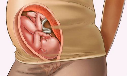 sự phát triển của thai nhi 30 tuần trong bụng mẹ