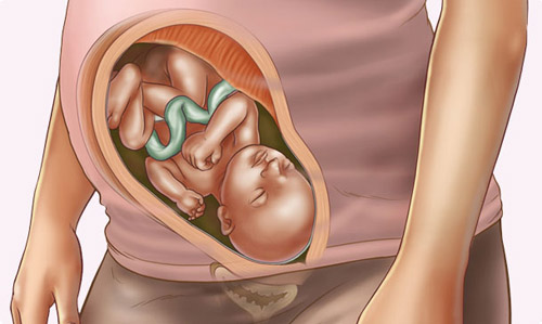 Những thay đổi của thai nhi tuần 33