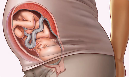 Những thay đổi của thai nhi tuần 34