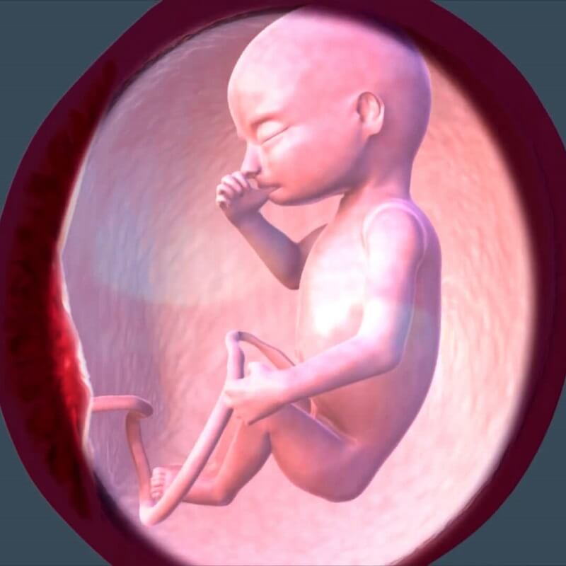 thai 4 tháng là bao nhiêu tuần