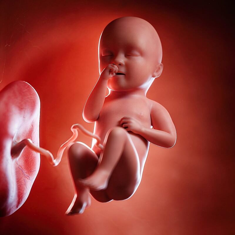 thai nhi 34 tuần phát triển như thế nào