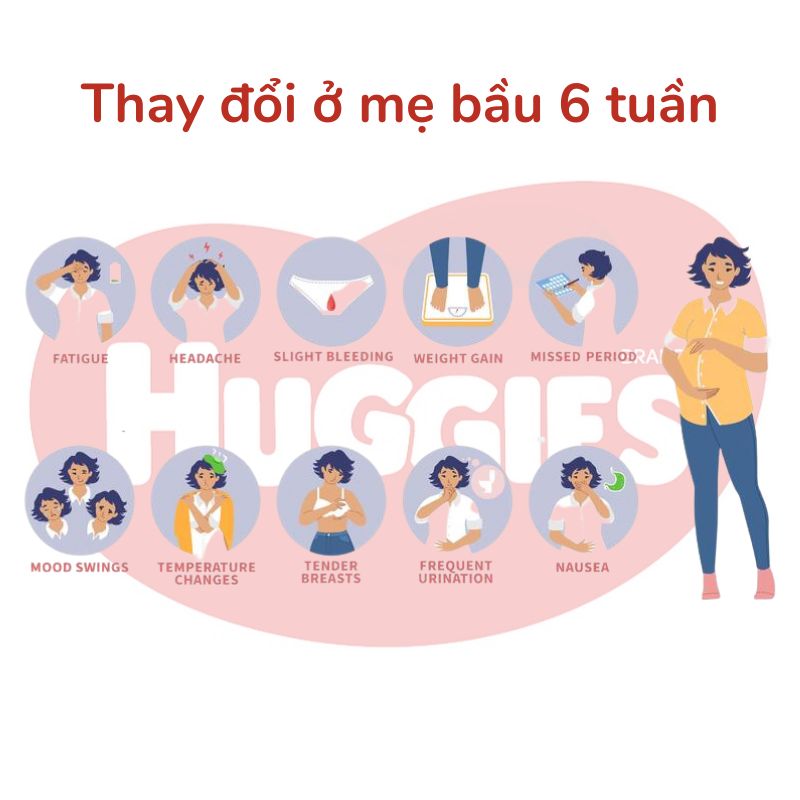 Thay đổi ở mẹ bầu 6 tuần tuổi