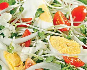 Đổi bữa với salad rau mầm