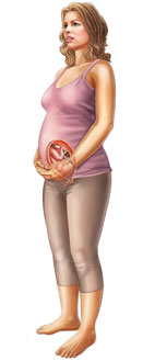 Thông tin về thai nhi tuần 31