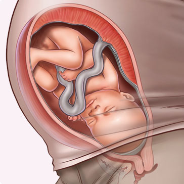 Những thay đổi thai nhi tuần thứ 34
