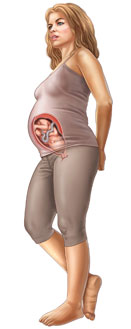 Thông tin về thai nhi tuần 34