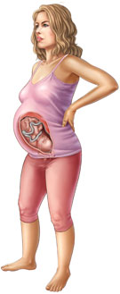 Thông tin về thai nhi tuần 35