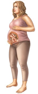 Thông tin về thai nhi tuần 38