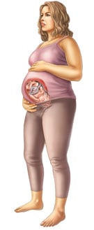 Thông tin về thai nhi tuần 39
