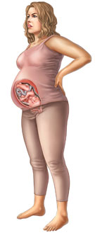 Thông tin về thai nhi tuần 40