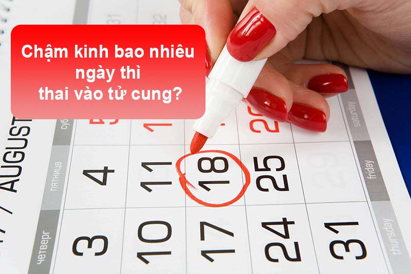 Chậm kinh bao nhiêu ngày thì thai vào tử cung