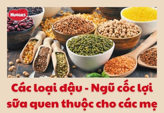 Các loại đậu - Ngũ cốc lợi sữa quen thuộc với các mẹ sau sinh