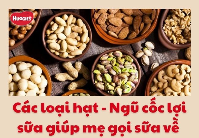 Các loại hạt - Ngũ cốc lợi sữa gọi sữa về nhanh chóng