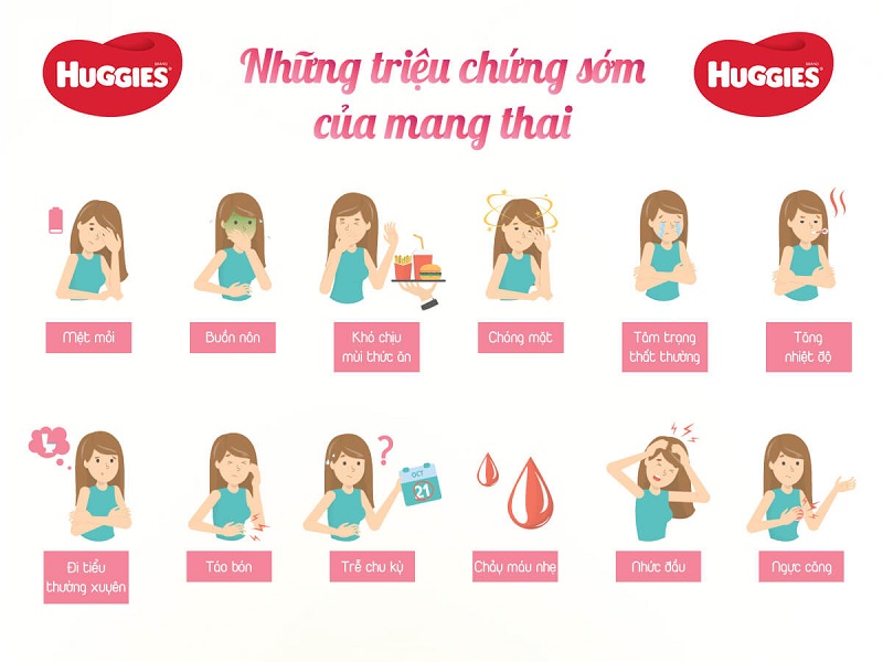 Dấu hiệu mang thai phổ biến nhất: trễ kinh, đau ngực, nhiệt độ cơ thể tăng nhức đầu, đi tiểu thường xuyên và mệt mỏi