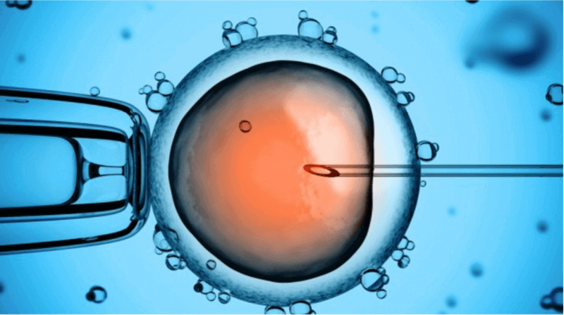 Tính tuần thai cho trứng được thụ tinh nhân tạo