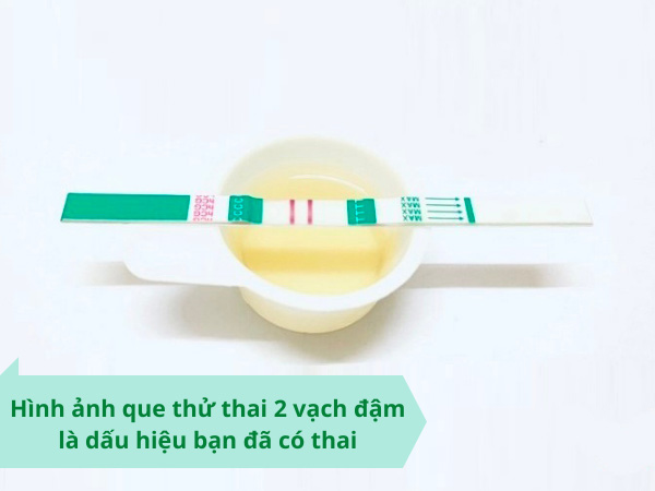 Một trong mỗi tín hiệu mang bầu sớm đúng mực nhất đó là hình hình ảnh que demo bầu 2 vạch đậm