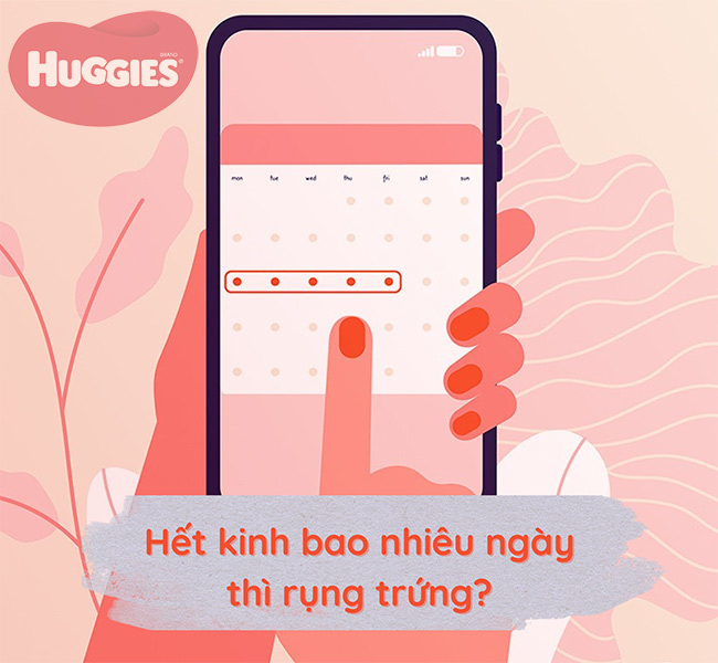 Hết kinh bao nhiêu ngày thì rụng trứng?