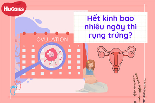 Làm thế nào để chuẩn bị tinh trùng phát triển tốt trong chu kỳ kinh nguyệt để dễ thụ thai?