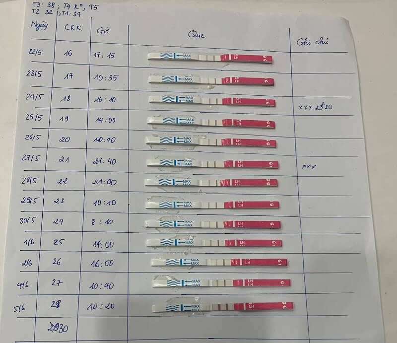Que thử rụng trứng giúp xác định ngày rụng trứng nhờ đó chị xem chọn ngày quan hệ thích hợp để tăng khả năng thụ thai
