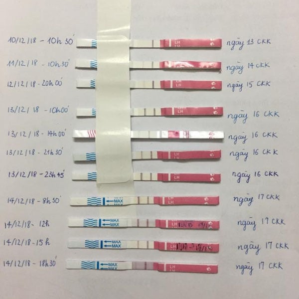 Dùng que thử rụng trứng sinh con trai dựa trên phương pháp nghiên cứu Shettles