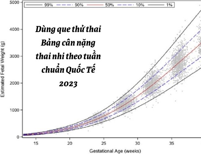 Biểu đồ thể hiện sự tăng trưởng cân nặng thai nhi theo tuần từ WHO