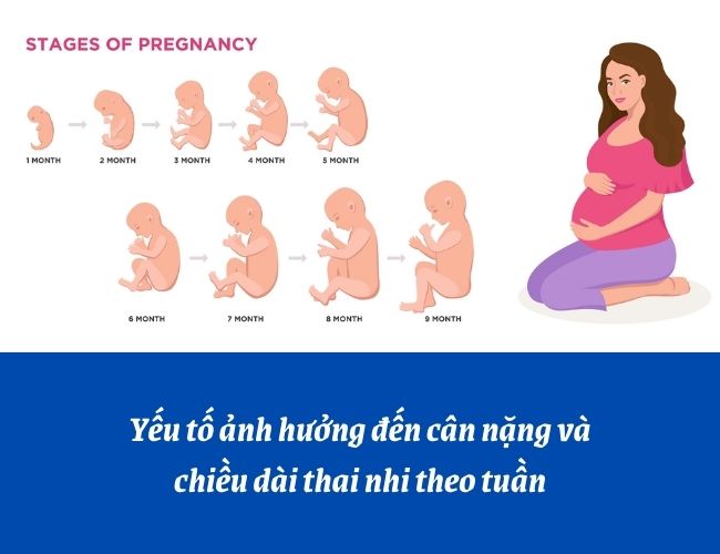 Mẹ nên lưu ý gì để thai nhi tăng cân đúng chuẩn?