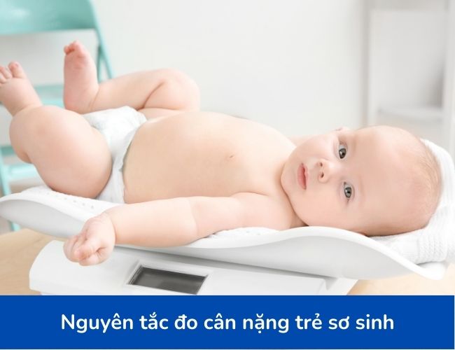 Đo trọng lượng con trẻ sơ sinh