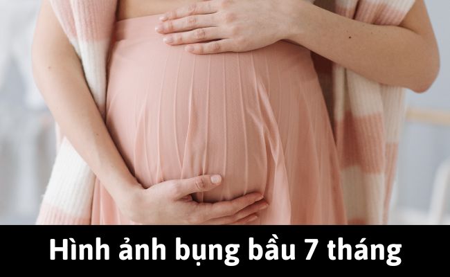 Hình ảnh bụng bầu 7 tháng